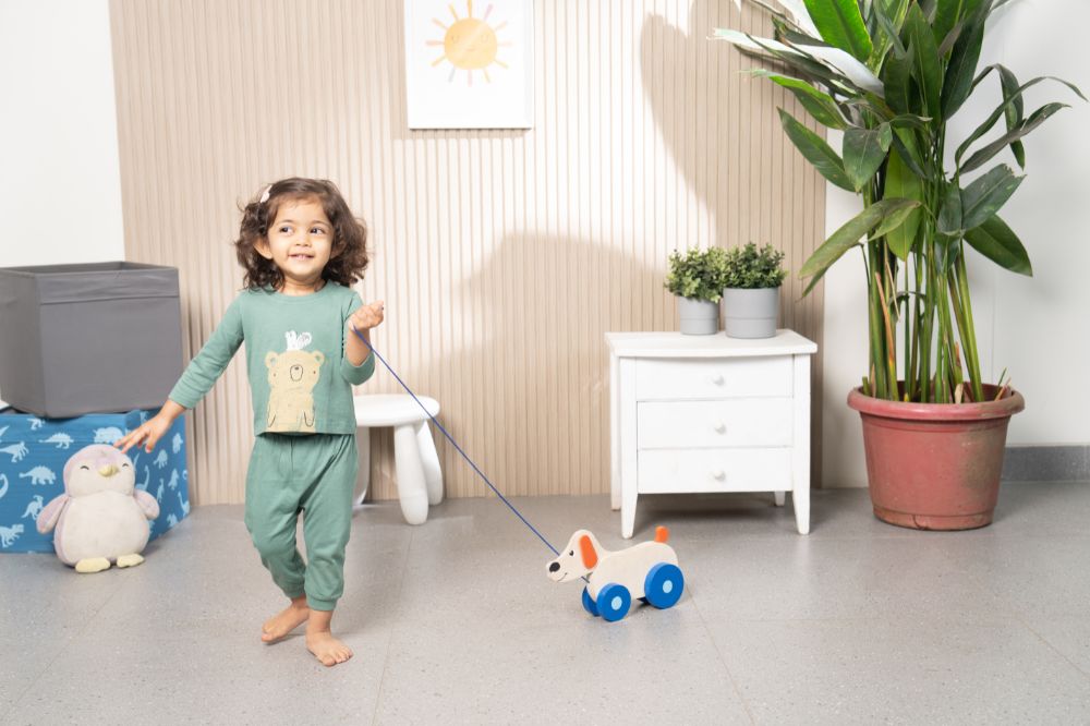 Why Pull-Along Toys Are The Perfect Companions for Toddlers