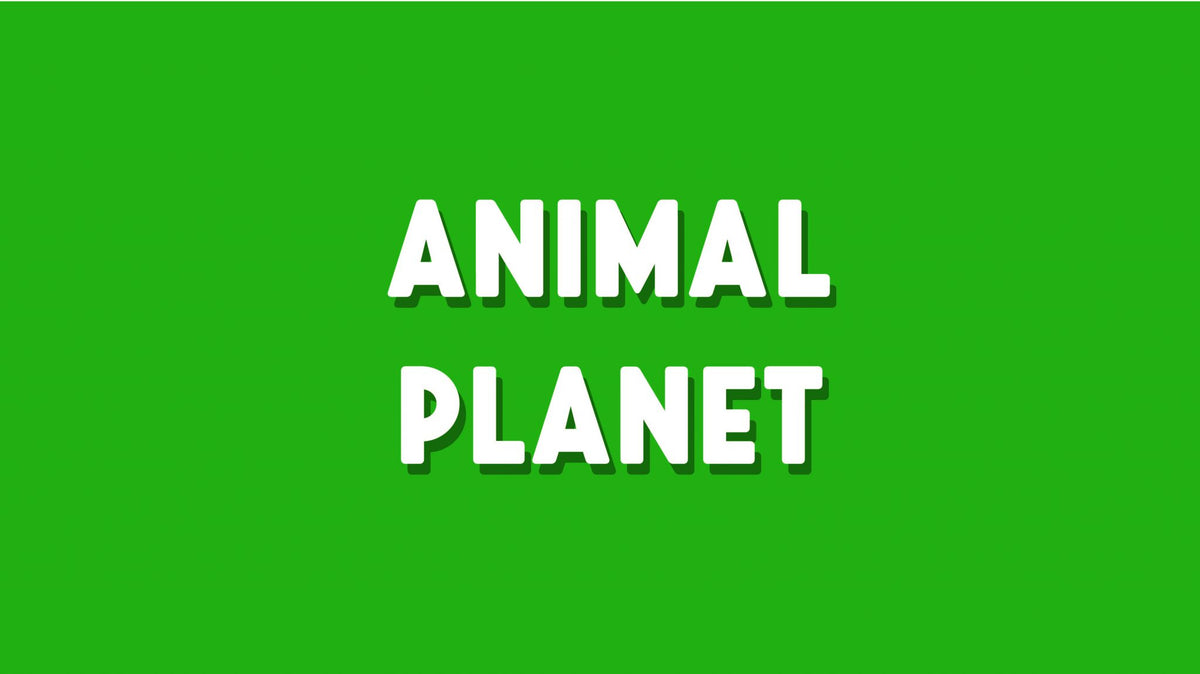Animal Planet