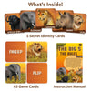 Animal-themed game cards including Secret Identity and Strategy Cards from The Big 5 game