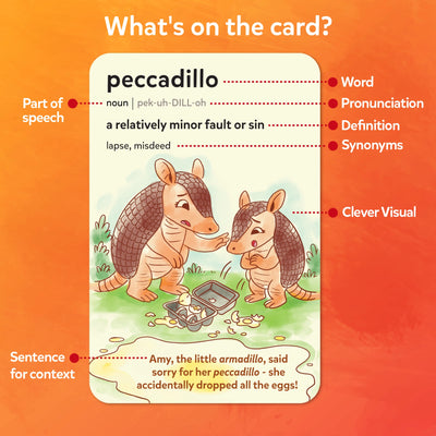 Vocabulary Booster Bundle (Ages 8+)