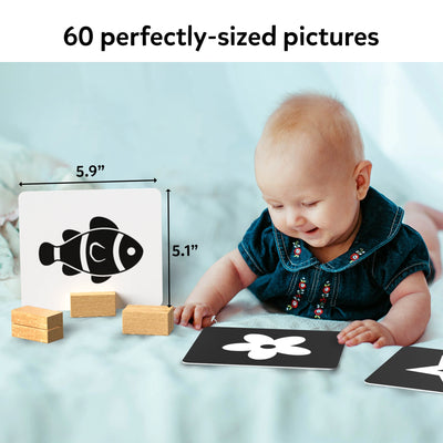 Black and white picture flash cards for infants from High Contrast Flash Cards for Infants