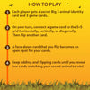 The Big 5 | Animal Themed Game of Secret Identities & Strategic Card-Flipping (ages 6+)