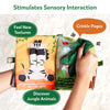 Infant Sensory Fun Bundle (ages 6 months+)