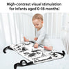 High Contrast Sensory Cloth Mat (0-18 months)