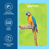 Flash Cards for toddlers: First 100 Animals (ages 1-4)