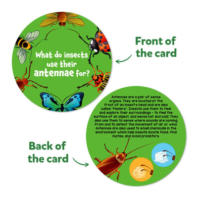 Flash Cards Science Snippets Kit | All About Animals (ages 7+)