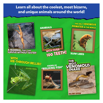 Educational poster featuring vibrant unique animals from Craftopedia Coolest Creatures origami puzzle book