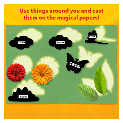 Green board with natural objects and black cutouts demonstrating shadow casting for Sun Paper Art Kit
