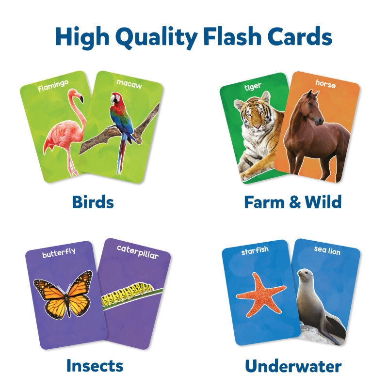 Flash Cards: Mega Combo (ages 1-4)