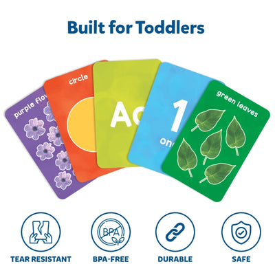 Toddler learning flashcards from Infant Essentials Combo, tear-resistant, BPA-free, durable, safe