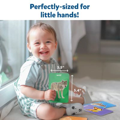 Smiling baby holding green flashcard with wolf illustration from First 100 Animals Toddler Flash Cards