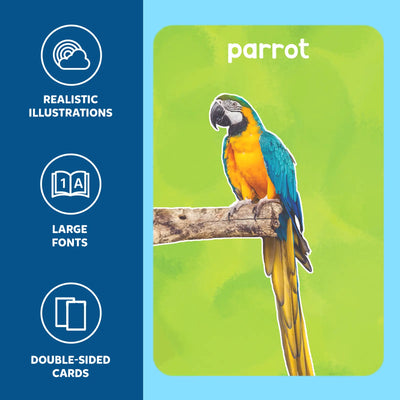 Flashcard with a vibrant blue and yellow parrot from First 100 Animals for toddlers