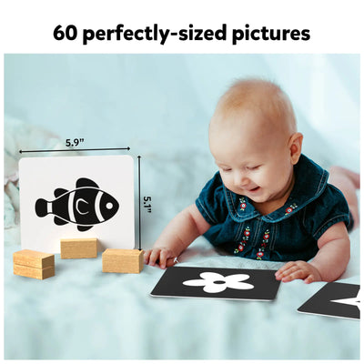 High Contrast Flash Cards for Infants (0-12 months)