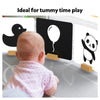 High Contrast Flash Cards for Infants (0-12 months)