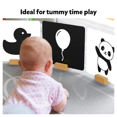 High Contrast Flash Cards for Infants (0-12 months)