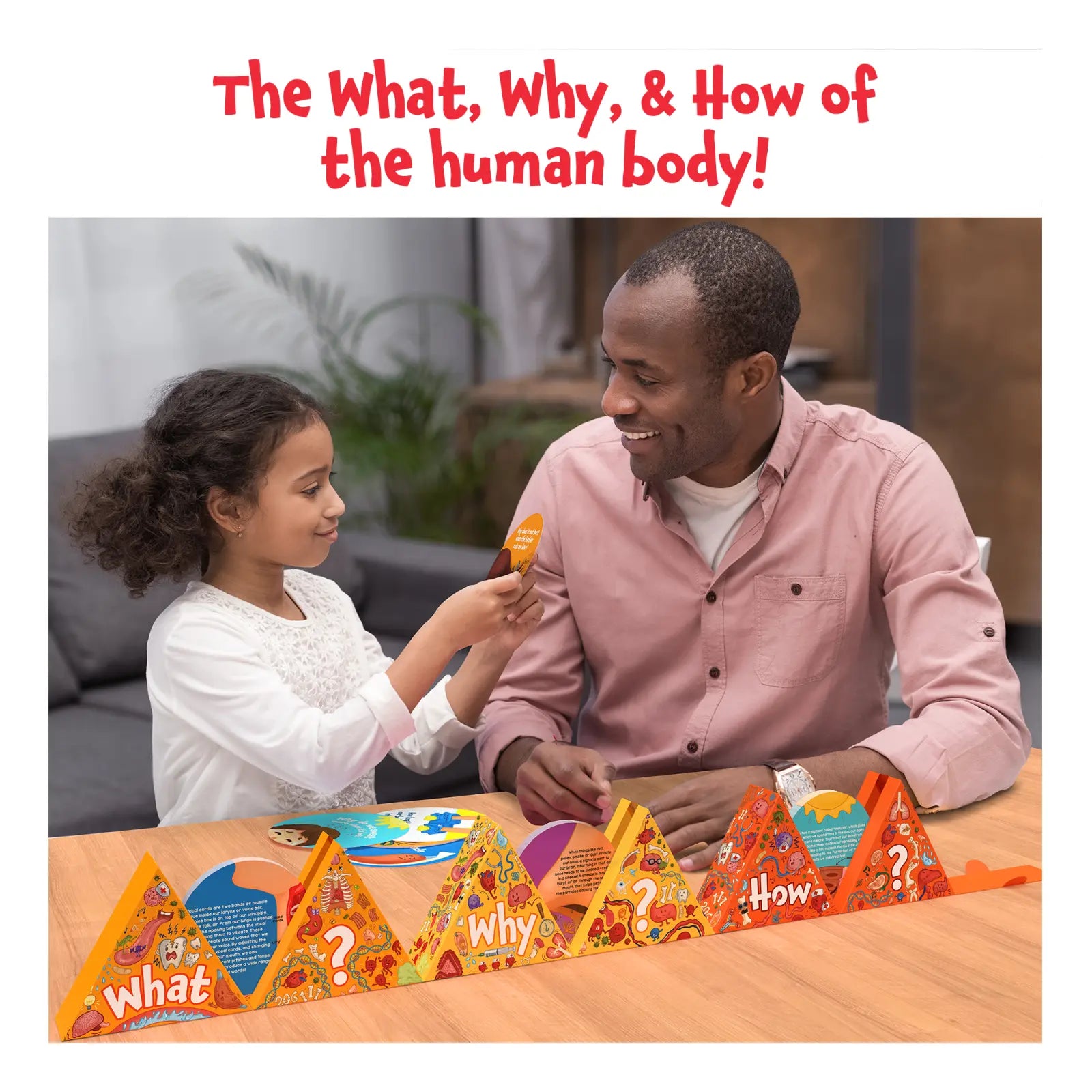 Science Snippets Kit | The Human Body (ages 7+)