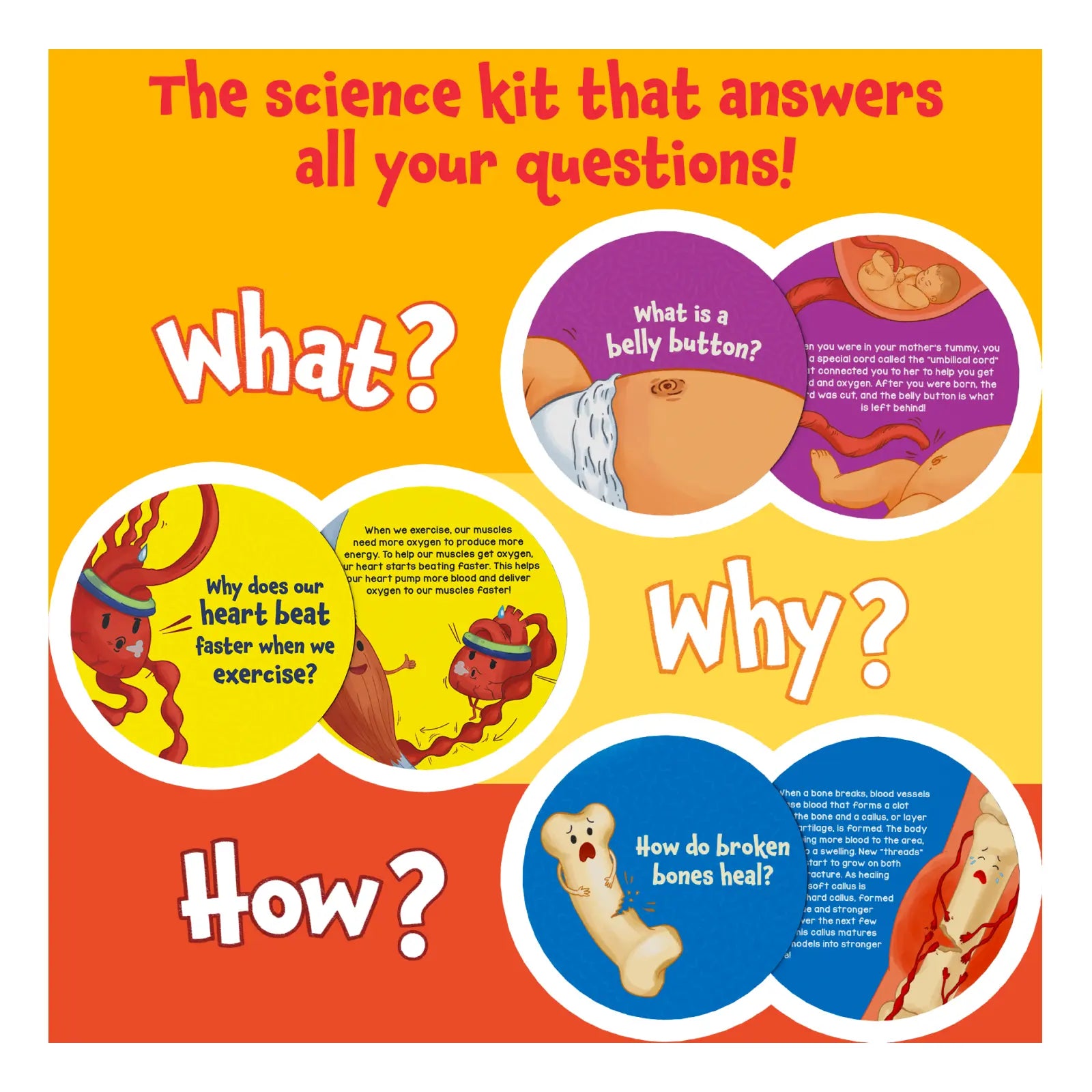 Science Snippets Kit | The Human Body (ages 7+)