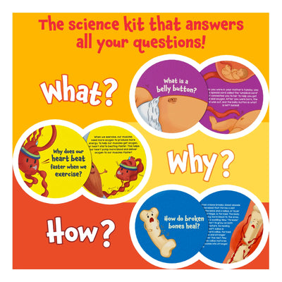 Flash Cards Science Snippets Kit | The Human Body (ages 7+)