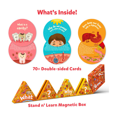 Flash Cards Science Snippets Kit | The Human Body (ages 7+)
