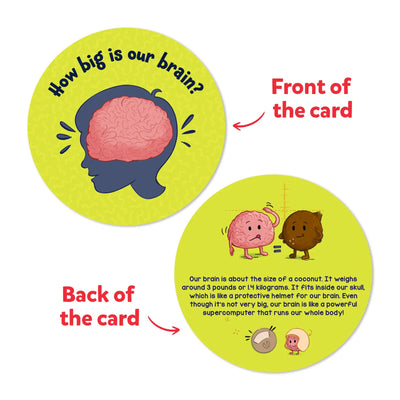 Flash Cards Science Snippets Kit | The Human Body (ages 7+)