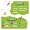 Spot and Learn - Flash Cards for Toddlers (ages 2-5)